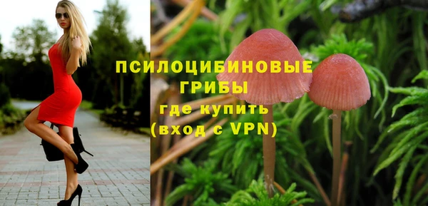 гашик Балабаново